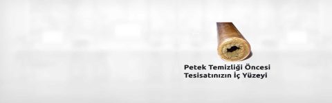 PETEK TEMİZLİĞİ EN İYİ TASARRUF YÖNTEMİDİR